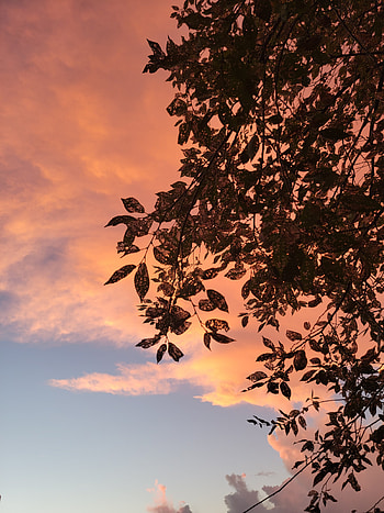 Fall vibes, Sunset, Cloud, Thanksgiving, View HD phone wallpaper