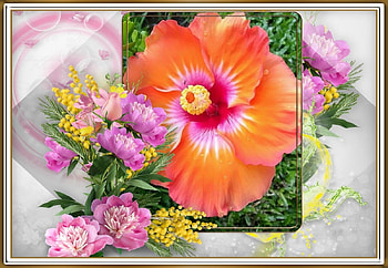 FRAMED FLOWERS, FLOWERS, NATURE, FRAMED HD wallpaper