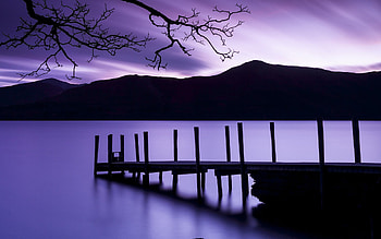 Purple Dusk, purple, dusk, nature HD wallpaper