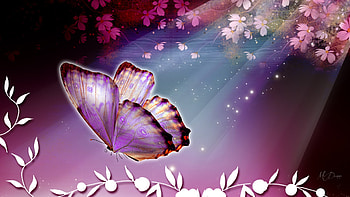 Floral & Butterfly, summer, breeze, butterfly, petals, garden, floral, flowers, spring HD wallpaper