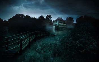 lake house, house, bridge, grass, lake, tree HD wallpaper