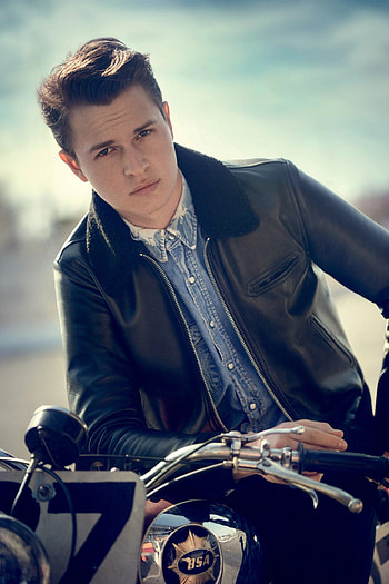 Ansel Elgort, The Goldfinch movie, Wiki Fandom HD phone wallpaper
