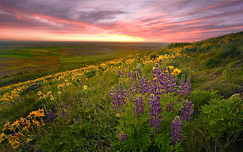 Landscape, Sunset, Fields HD wallpaper