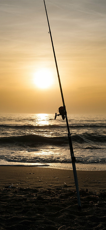 Best fishing , Stunning visuals, Perfect catch, Angler's pride HD phone wallpaper