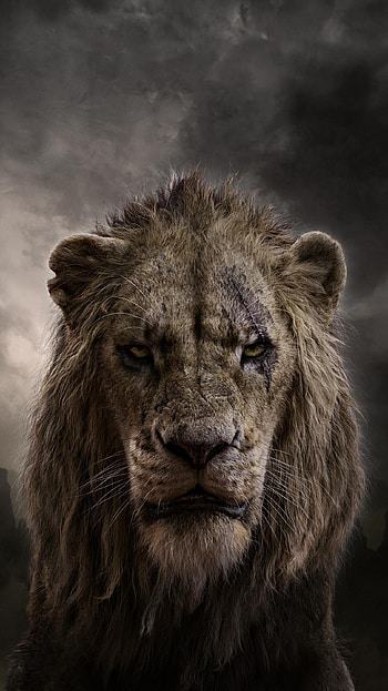 The Lion King (2022) movie HD phone wallpaper