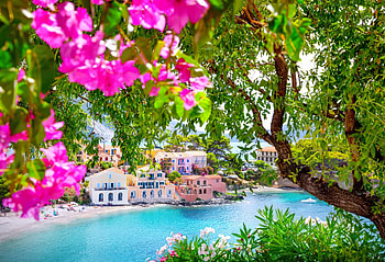 Greek summer, flowers, resort, Greece, branches, view, tree HD wallpaper