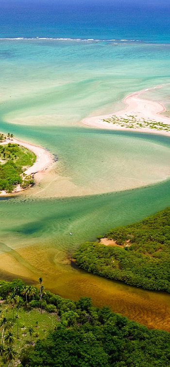 Brazil beach, Tropical paradise, Sandy shores, Breathtaking ocean views HD phone wallpaper