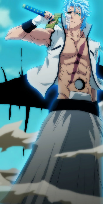 Grimmjow Jaggerjack, Character favorites, Gugumania's picks, Zerochan community HD phone wallpaper