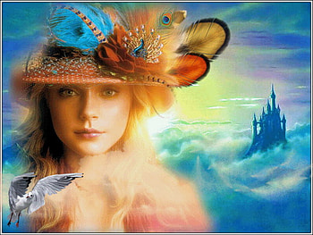 soft, feathers, castle, seagull, hat HD wallpaper