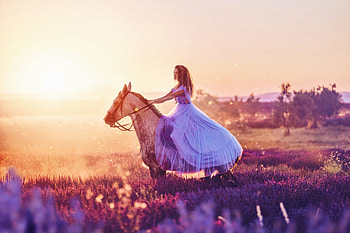 Women With Horse Fantasy Field , women, girls, horse, field HD wallpaper