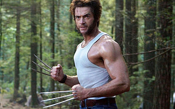 The Wolverine, Wolverine , ID38177 HD wallpaper