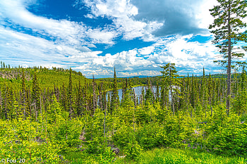 Nature, Trees, Sky, Lake, Forest, Fir, Spruce HD wallpaper
