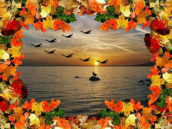Birds, leaves, abstract, sky, water HD wallpaper