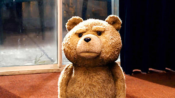 Cinema, Bears, Ted HD wallpaper