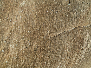 Rock textures, shelly beach, textures, rock, beach HD wallpaper