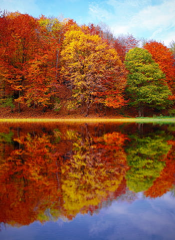 Stunning autumn forest with colorful foliage reflecting on a serene lake under a clear sky. HD phone wallpaper