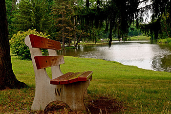 Serene Summer View, park bench, tranquil summer, beautiful nature, beautiful summer, scenic summer, scenic view HD wallpaper