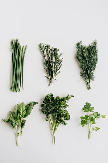 Assorted fresh herbs including basil, parsley, and dill presented on a white table. HD phone wallpaper
