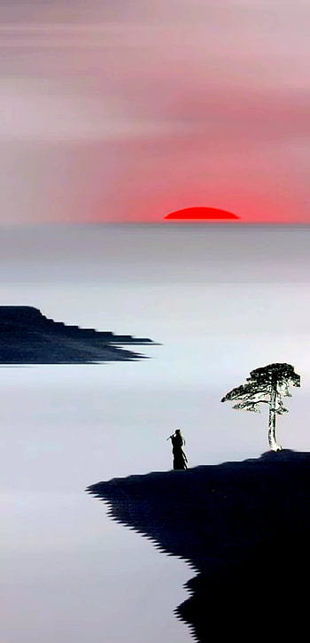 Orient Sun, bonsai, sunrise, Samurai, oriental HD phone wallpaper