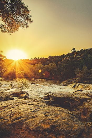 Stunning sunset over a rocky river surrounded by lush greenery and sunbeams creating a serene landscape. HD phone wallpaper