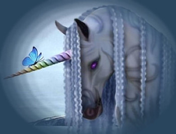 butterfly friend, wings, rainbow HD wallpaper