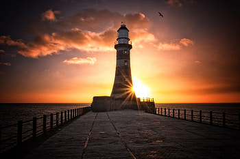 Roker Lighthouse, lighthouse, nature, sunset, birds HD wallpaper