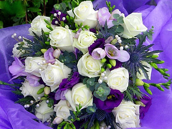 For Karyn - Nice to see you, white, flowers, mauve, roses HD wallpaper