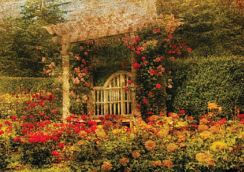 a bench in the rose garden, bench, roses, garden, texture, nature, flowers HD wallpaper