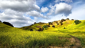 Malibu Creek State Park, Malibu, California, rape, hills, field, trees, clouds, sky, usa HD wallpaper
