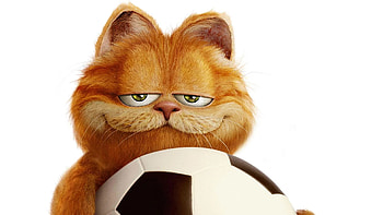 Garfield, Top Garfield , Playful orange cat HD wallpaper