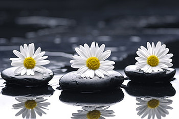 White lilies, Still life, Stones, Lilies, Spa, Reflection HD wallpaper