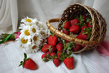 Strawberries, Chamomile, Basket, Berries HD wallpaper