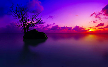 High Definition for Quality HD wallpaper