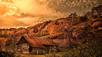 Old Barn in the Forest, Nature, Autumn, Forest, Barn HD wallpaper