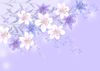 Plants, Flowers HD wallpaper