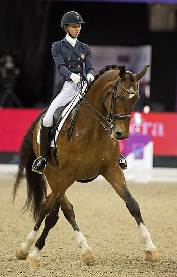 Dressage sports, Fancy footwork, Dressage style, Choreographed performance HD phone wallpaper