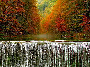 Beauty Of Nature, trees, cool, waterfall HD wallpaper
