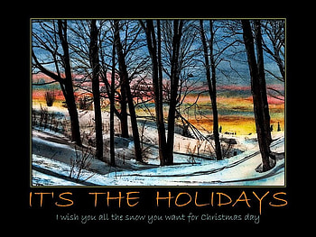 It's the Holidays, holidays, sky, forest, snow HD wallpaper