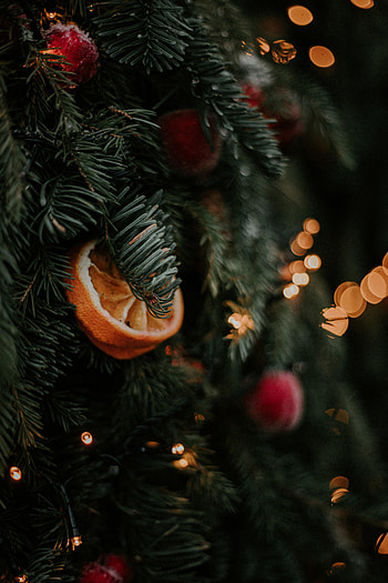 Holidays, New Year, Decorations, Christmas, Holiday, Christmas Tree, Garland, Garlands HD phone wallpaper