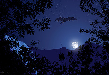 Art, Night, Moon, Dragon, Fiction, That's Incredible HD wallpaper