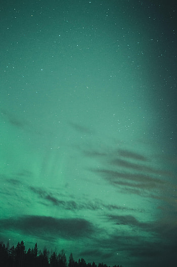 Nature, Trees, Night, Starry Sky, Northern Lights, Aurora Borealis HD phone wallpaper