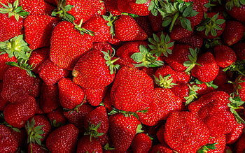 Strawberries, fruit, food, red HD wallpaper