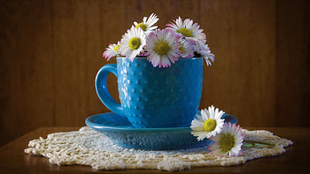 Still life, Mug, Flowers, Chamomile, Table HD wallpaper