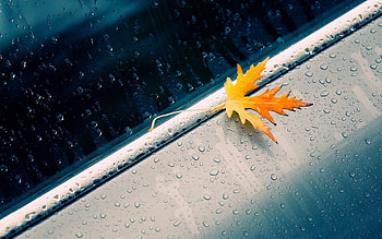 Autumn, Drops, Macro, Car, Sheet, Leaf, Machine HD wallpaper