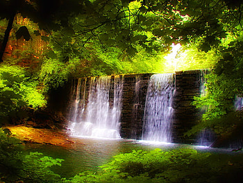 Forest waterfall, summer, wood, waterfall, beautiful, water, sun, forest, stream HD wallpaper