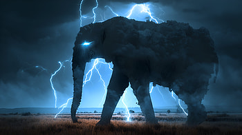 Lightning Colossus: Elephant on Foggy Savanna - Quad, Lightning Storm, Animal HD wallpaper
