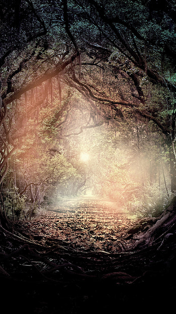 Beautiful Creatures (2022) movie HD phone wallpaper