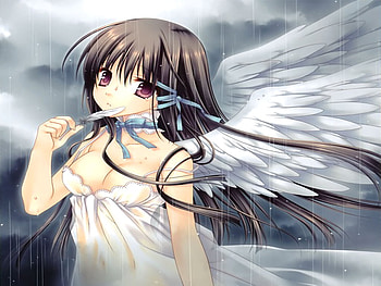 Angel of Rain, night, wings, feathers, rain, cute, angel, dress, anime girl, cloud, female HD wallpaper