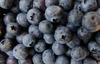 Blueberry, fresh, close up HD wallpaper