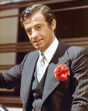 Jean-Paul Belmondo, Morto, Icon's life, Nouvelle Vague HD phone wallpaper